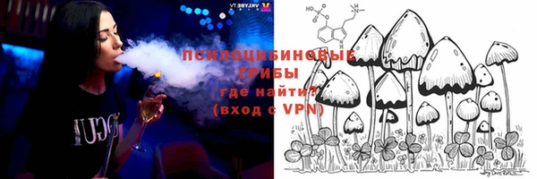2c-b Горнозаводск