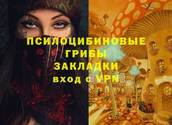 дурь Горняк