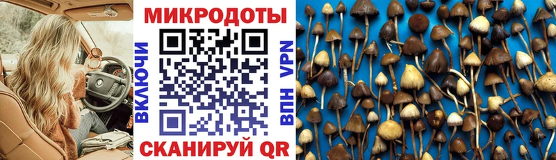 Галлюциногенные грибы мухоморы  купить  сайты  Чегем 