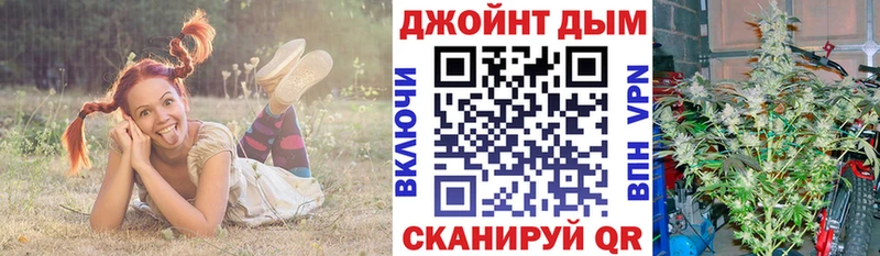 shop наркотические препараты  KRAKEN ссылка  Чегем  Шишки марихуана планчик 